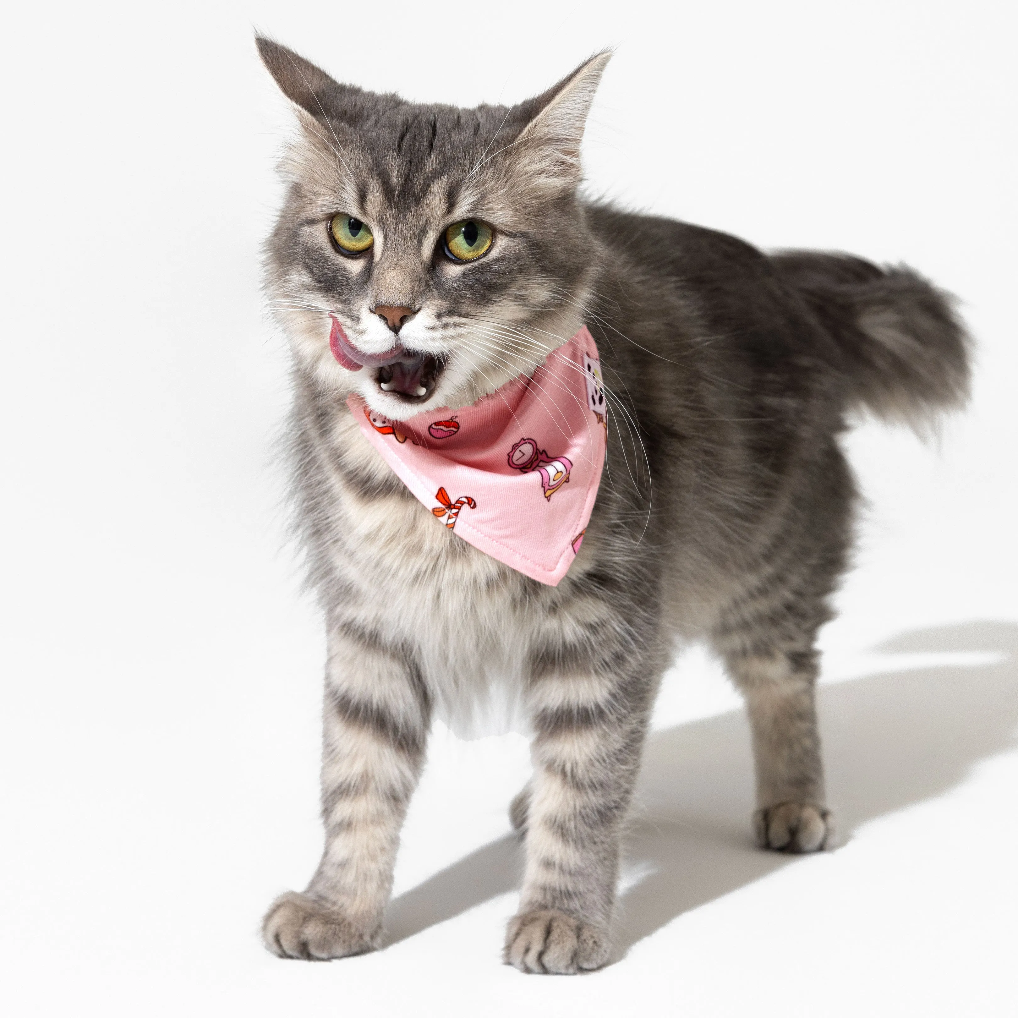 The Elf on the Shelf Bamboo Pet Bandana